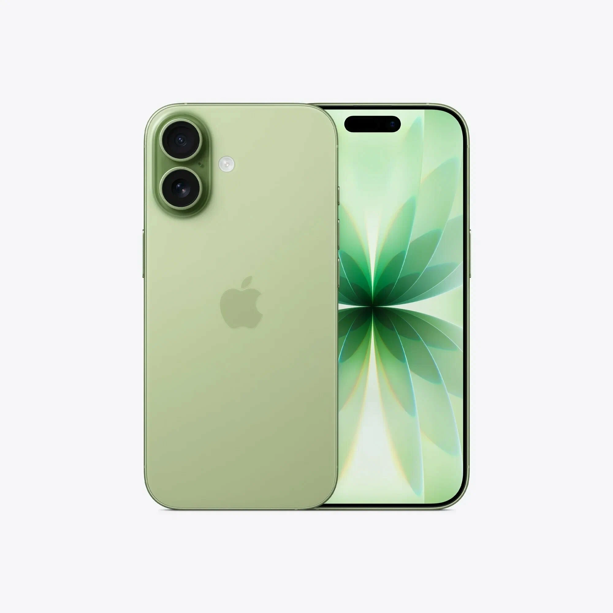 iPhone 17 256Gb Dual eSIM Sage