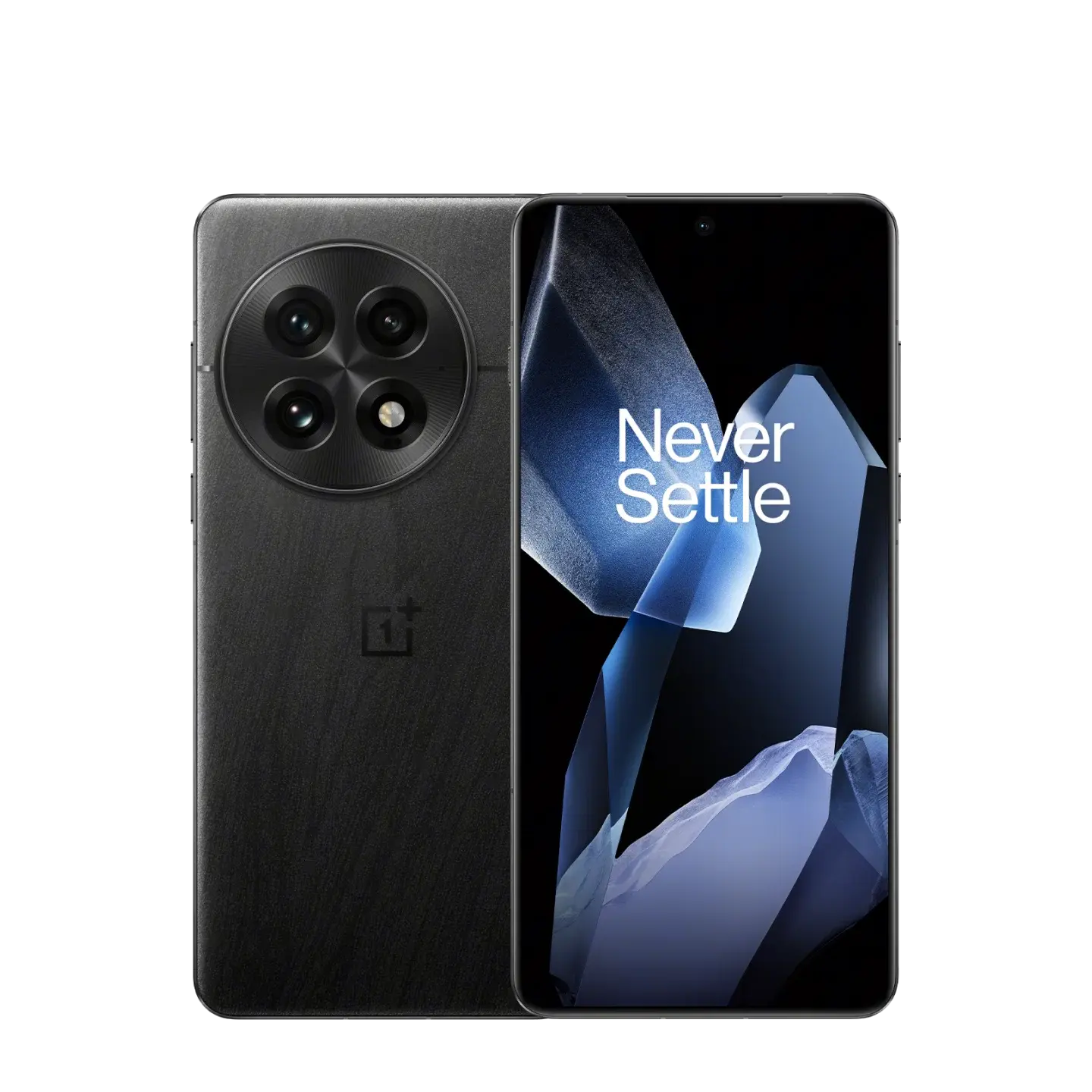 OnePlus 13 24/1Tb PJZ110 Black Eclipse