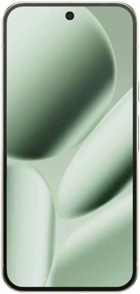 Google Pixel 10 Pro XL 16/256Gb eSim US jade (мятный)