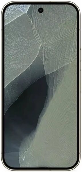 Google Pixel 11 Pro 12/256Gb olive (зеленый) Global Version